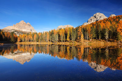 Reflection of trees in lake against blue sky