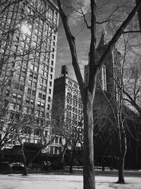 Bare trees against sky