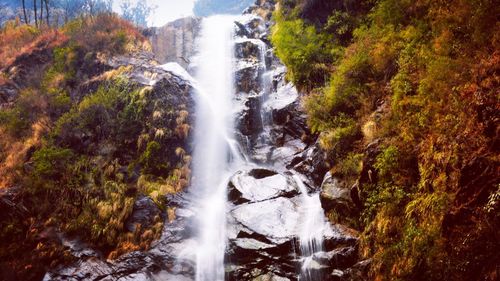 Scenic view of waterfall in forest