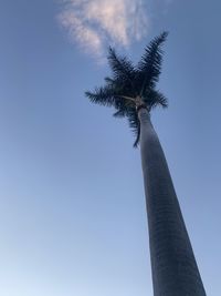 Low angle view of coconut palm tree against clear blue sky