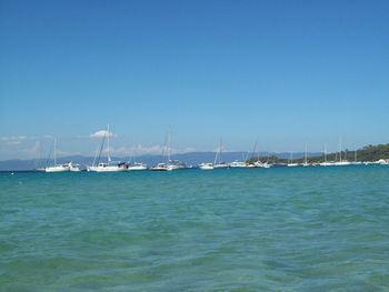 Sailboats sailing in sea against clear blue sky