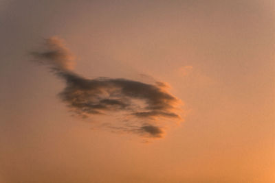 Low angle view of silhouette horse against orange sky