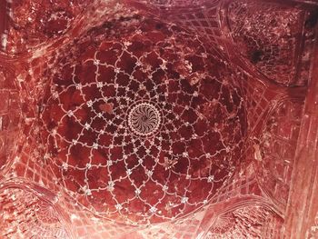 Close-up of star shape