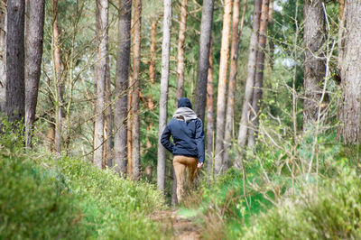 Rear view of woman walking on footpath amidst trees in forest