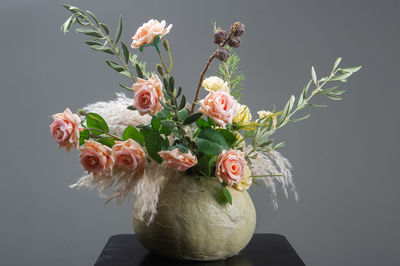 Close-up of pink flowering plant