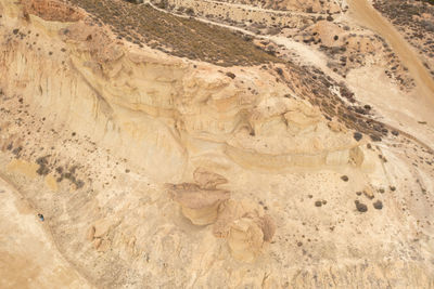 soil