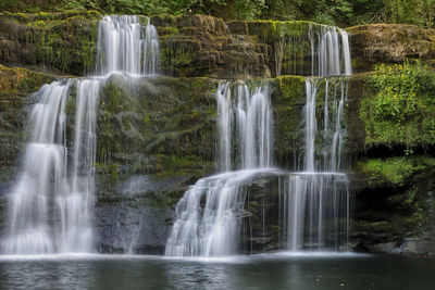 Scenic view of waterfall in forest