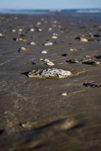 Close-up of sand on beach against sky