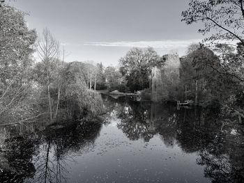 Reflection of trees in lake against sky