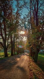 Road amidst trees in park during autumn