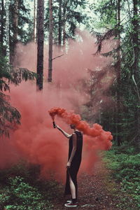 Woman holding flare in forest