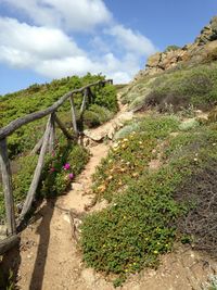 View of footpath against sky