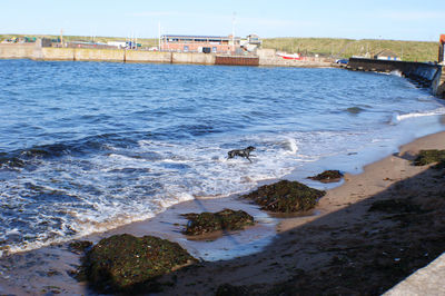 Scenic view of beach against sky