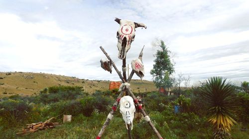 Trees growing on field against sky