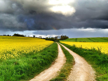 Pathway amidst oilseed rape field against sky