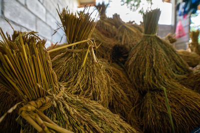 Close-up of corn for sale at market stall