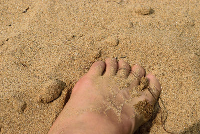 Low section of person on sand