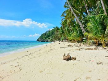 Scenic view of beach against sky