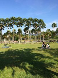 People relaxing in park