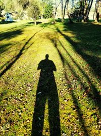 Shadow of man on grass