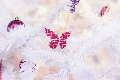 Close-up of christmas decorations hanging on tree