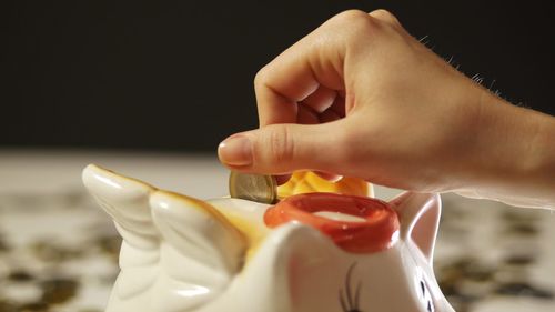 Close-up of hands putting coin in piggy bank