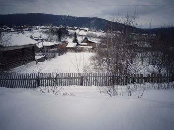 Snow covered trees by buildings against sky during winter