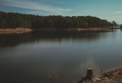 Reflection of trees in calm lake