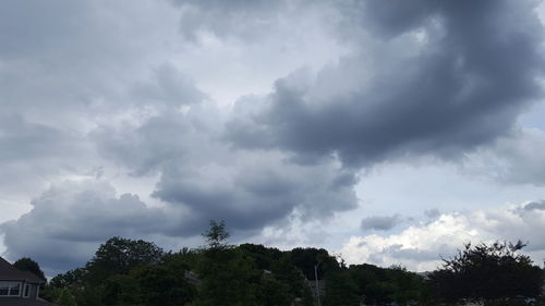 Low angle view of trees against cloudy sky