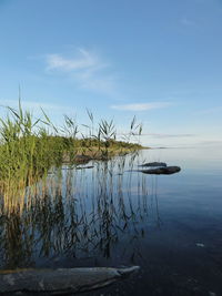 Scenic view of lake against sky