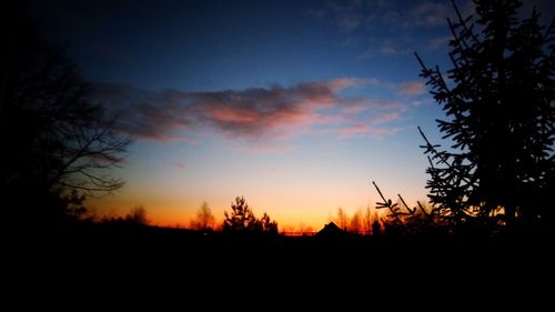 Silhouette of trees at sunset