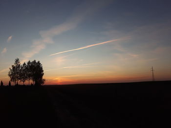 Silhouette trees on field against sky during sunset