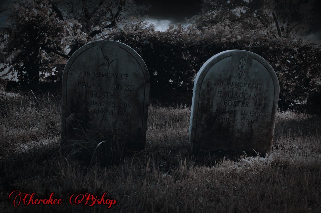 grave, cemetery, darkness, plant, tombstone, death, nature, sadness, no people, grass, headstone, text, land, stone, emotion, communication, tree, field, outdoors, grief, dark
