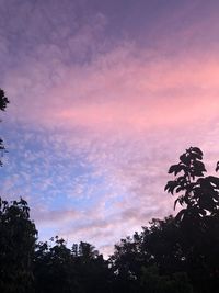 Low angle view of silhouette trees against sky during sunset