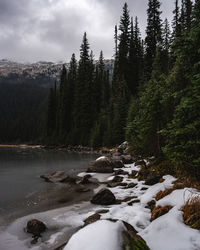 Scenic view of stream in forest against sky during winter