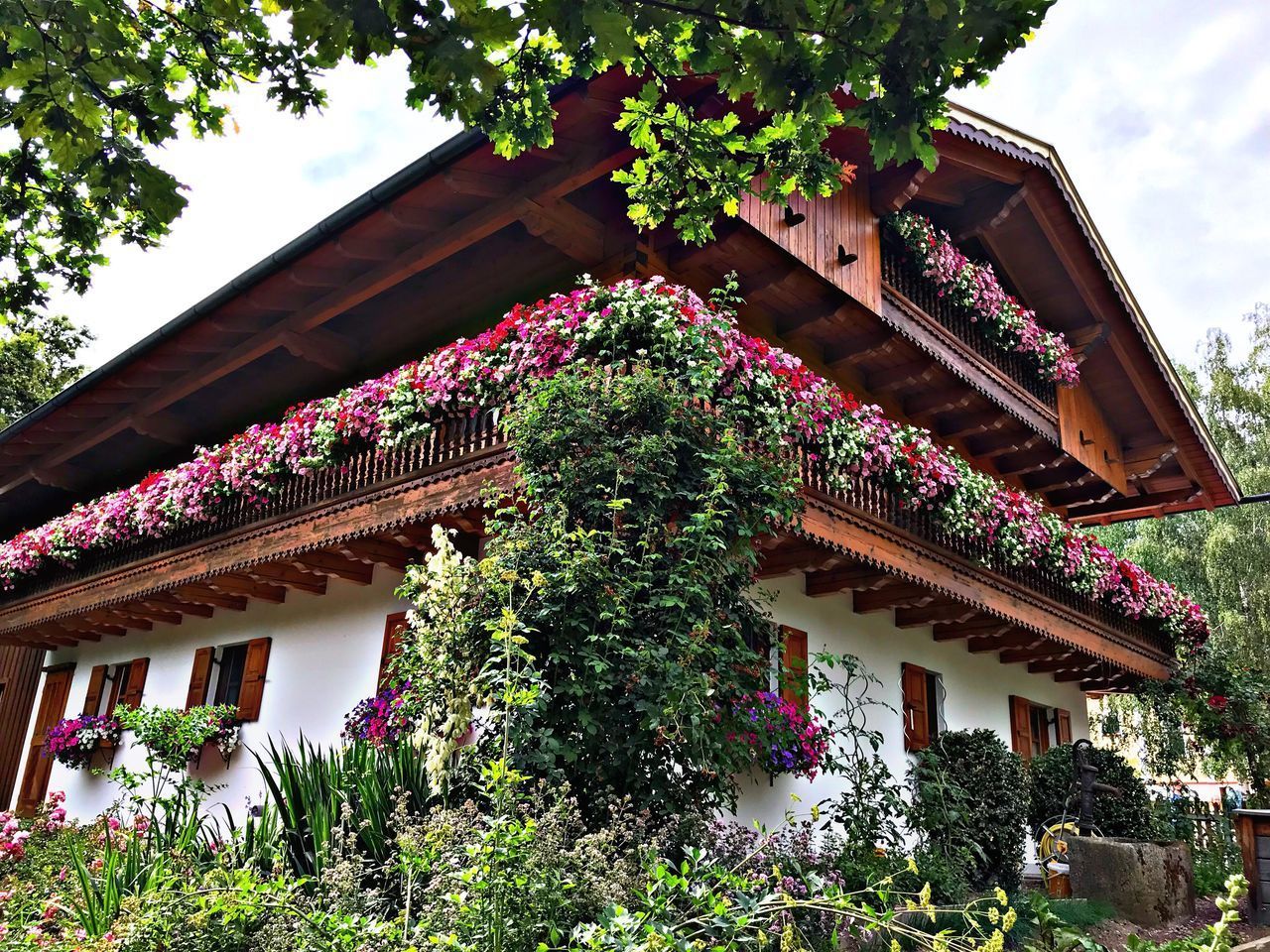 LOW ANGLE VIEW OF POTTED PLANT ON BUILDING