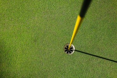 High angle view of yellow leaf on field