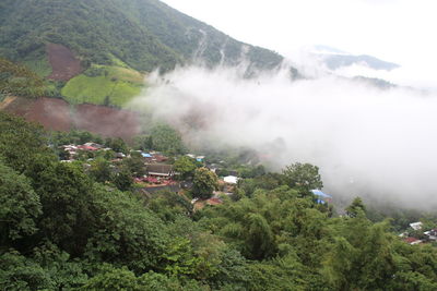 High angle view of trees and buildings on mountain