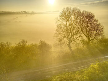 Misty sunrise over patrington, east riding of yorkshire