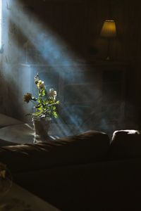 Flower vase on table at home