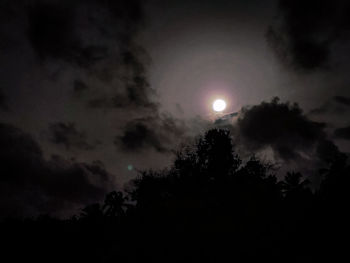 Low angle view of silhouette trees against sky at night