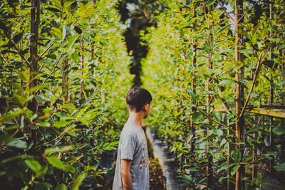 Man standing by tree in forest