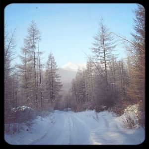 Snow covered landscape