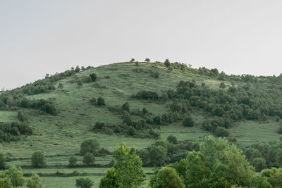 Scenic view of landscape against clear sky