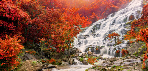 Scenic view of waterfall in forest during autumn