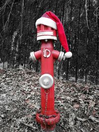 Close-up of fire hydrant