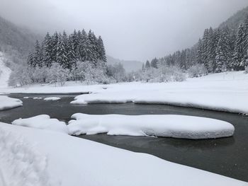 Frozen lake by trees during winter