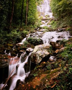 Stream flowing through rocks in forest