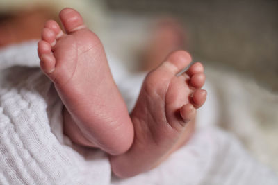 Low section of baby lying on bed