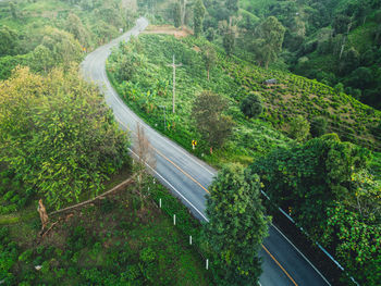 High angle view of road amidst trees